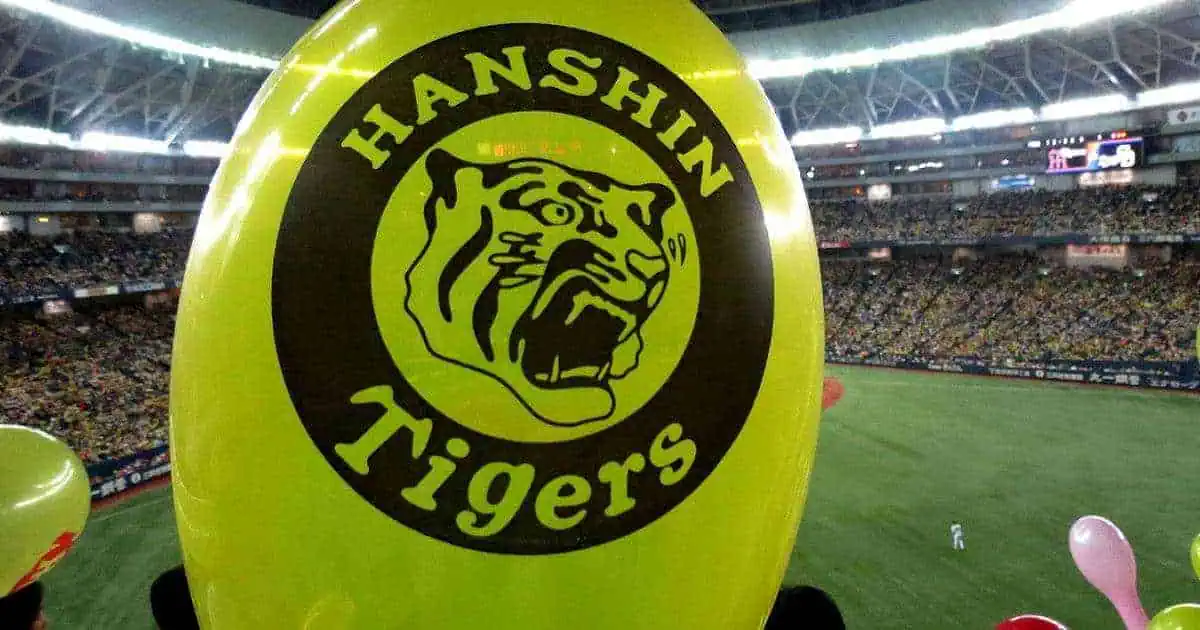 Hanshin Tigers Stadium View