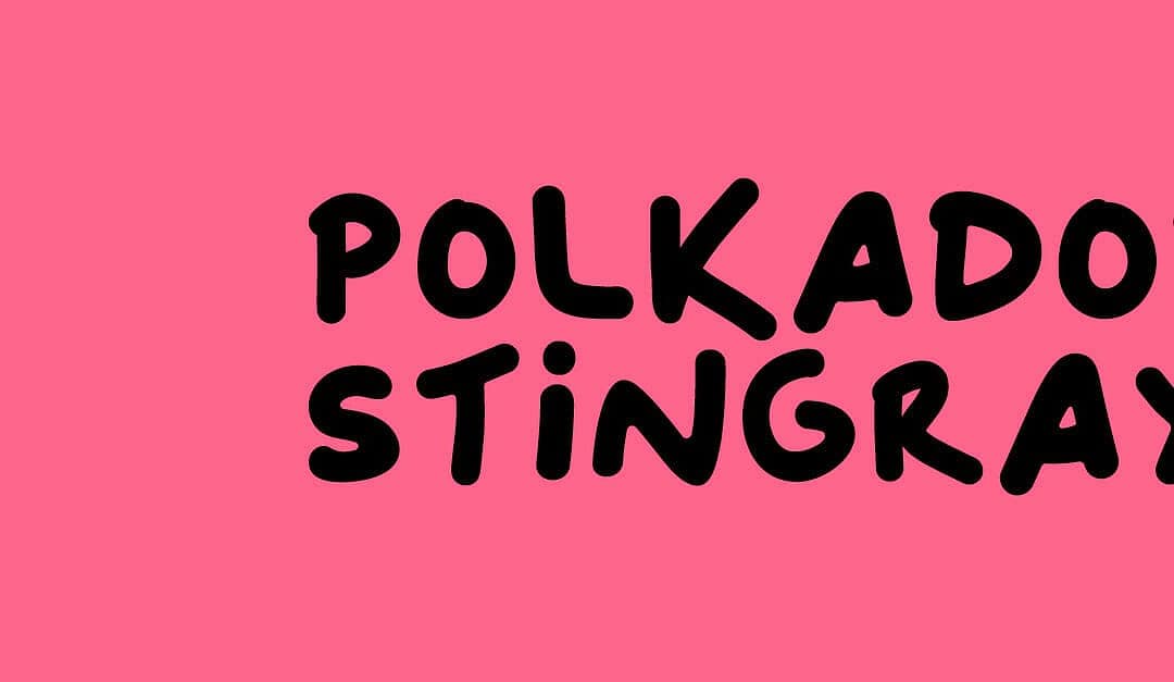 Polkadot Stingray in Osaka, 2025-12-13