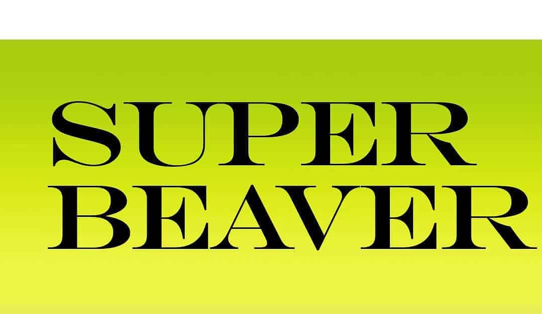 SUPER BEAVER in Osaka, 2026-03-21