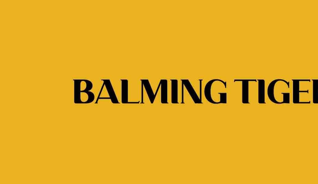 Balming Tiger in Osaka, 2025-11-27