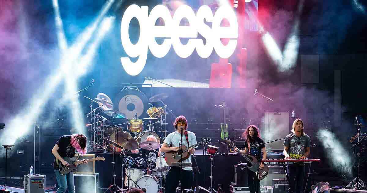 geese